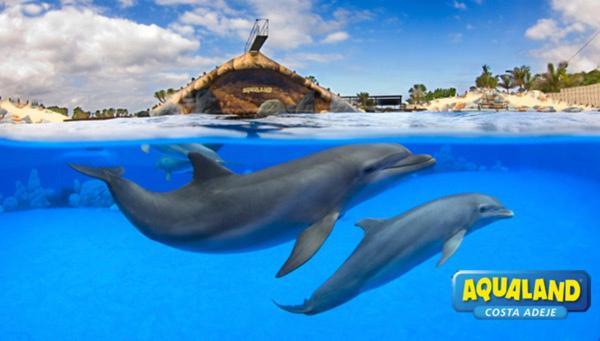 Royal Ocean View - Top Localization アデヘ エクステリア 写真